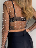 BLACK PEARL SHEER MESH CROP TOP
